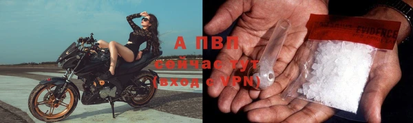 стаф Вяземский