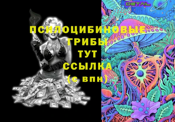 ПСИЛОЦИБИНОВЫЕ ГРИБЫ Волосово