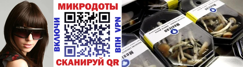 Галлюциногенные грибы прущие грибы  Боровичи 