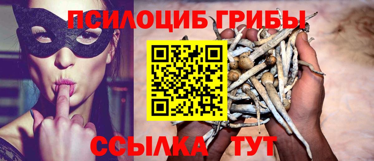 Псилоцибиновые грибы Cubensis  Псилоцибиновые грибы Psilocybine cubensis  магазин продажи наркотиков  Боровичи  Вход с VPN 