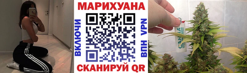Бошки марихуана сатива  хочу наркоту  Боровичи 