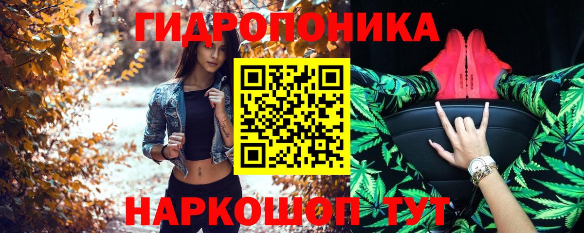 Конопля семена  Канабис марихуана  Канабис SATIVA & INDICA  Боровичи  Бошки Шишки Amnesia 